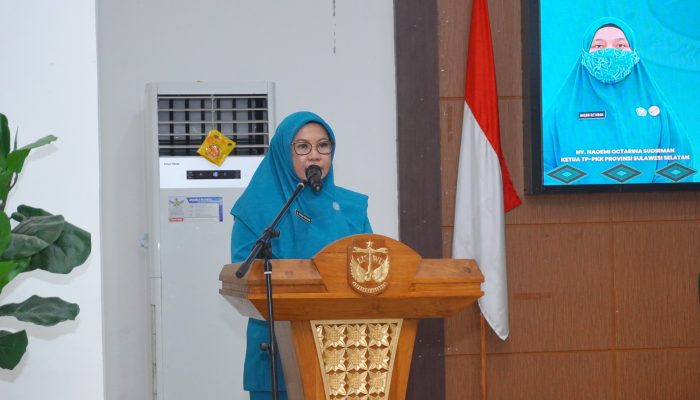 Dorong UMKM dan Kemandirian Ekonomi, Capaian Program PKK Kabupaten Luwu Tembus 50 Persen