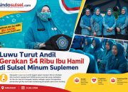 Kabupaten Luwu Dukung Gerakan Minum MMS untuk Percepatan Penurunan Angka Stunting di Sulsel