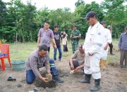 Bupati Patahudding Tanam Aren Genjah di Luwu, Potensi Emas Baru Bagi Warga Bupati Patahudding Tanam Aren Genjah di Luwu, Potensi Emas Baru Bagi Warga