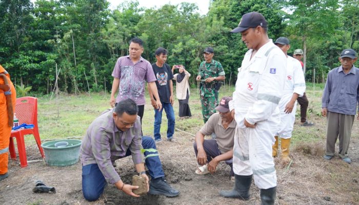 Bupati Patahudding Tanam Aren Genjah di Luwu, Potensi Emas Baru Bagi Warga