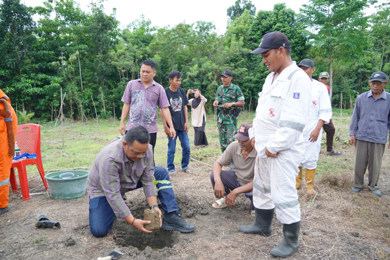 Bupati Patahudding Tanam Aren Genjah di Luwu, Potensi Emas Baru Bagi Warga