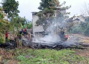 Gudang Kayu di Bua Ludes Terbakar Kurang dari Satu Jam