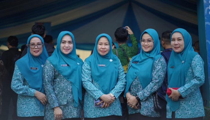Kurnia Patahudding Hadiri Pencanangan Rekor MURI Gerakan Minum MMS Ibu Hamil